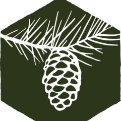 Spruce Canyon Wellness Logo